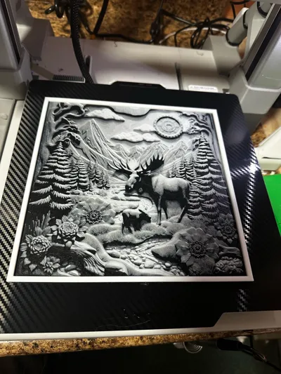 https://makerworld.bblmw.com/makerworld/model/1351370/1394060/ratings/67999d40-4841-11f0-bbab-d52a49159646.jpg