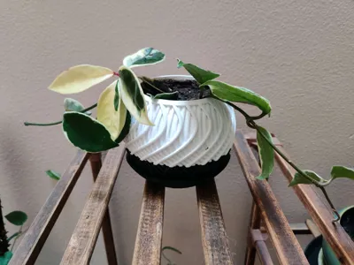 https://makerworld.bblmw.com/makerworld/model/1351797/1394556/ratings/10feb5d0-382c-11f0-a7a1-7123d47f98bf.jpg