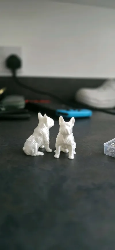 https://makerworld.bblmw.com/makerworld/model/1352445/1395310/ratings/a85eb0c0-e677-11f0-a81f-8d0c0834fb74.jpg