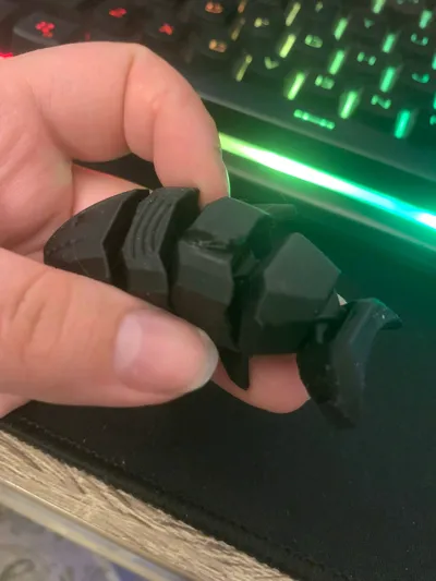 https://makerworld.bblmw.com/makerworld/model/1353685/1396861/ratings/dc4069b0-3e75-11f0-bb31-e1a92fa06bc9.jpg