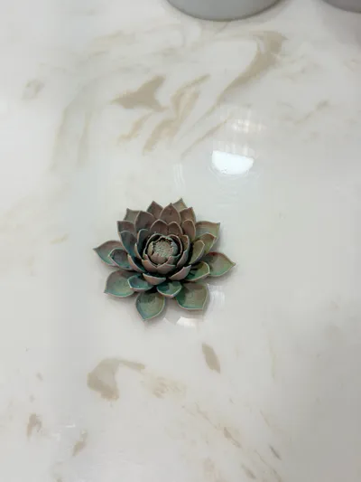 https://makerworld.bblmw.com/makerworld/model/1354004/1397225/ratings/0fea5501-a93d-11f0-9d17-d7561b85f28c.jpg