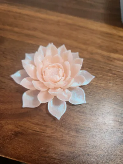 https://makerworld.bblmw.com/makerworld/model/1354004/1397225/ratings/11519b80-e81a-11f0-8aab-91f867e14cdc.jpg