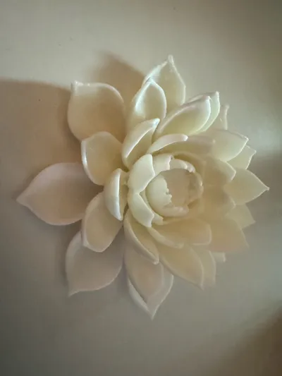 https://makerworld.bblmw.com/makerworld/model/1354004/1397225/ratings/1665f030-26b9-11f0-b774-5fd3557451a5.jpg