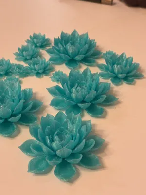 https://makerworld.bblmw.com/makerworld/model/1354004/1397225/ratings/2025-12-16_90ae18896f4a28.jpg