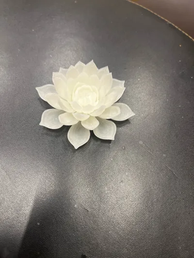 https://makerworld.bblmw.com/makerworld/model/1354004/1397225/ratings/3f3d7850-c7b0-11f0-baae-4fd3757c134e.jpg