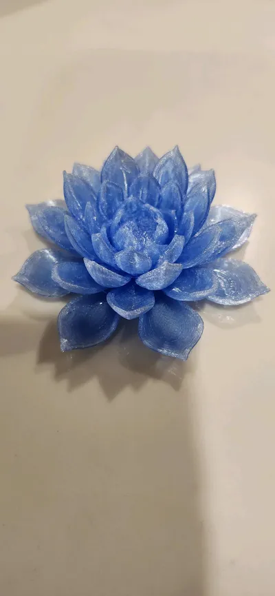 https://makerworld.bblmw.com/makerworld/model/1354004/1397225/ratings/752de3d0-6e0c-11f0-a27c-4f6b89dd55df.jpg