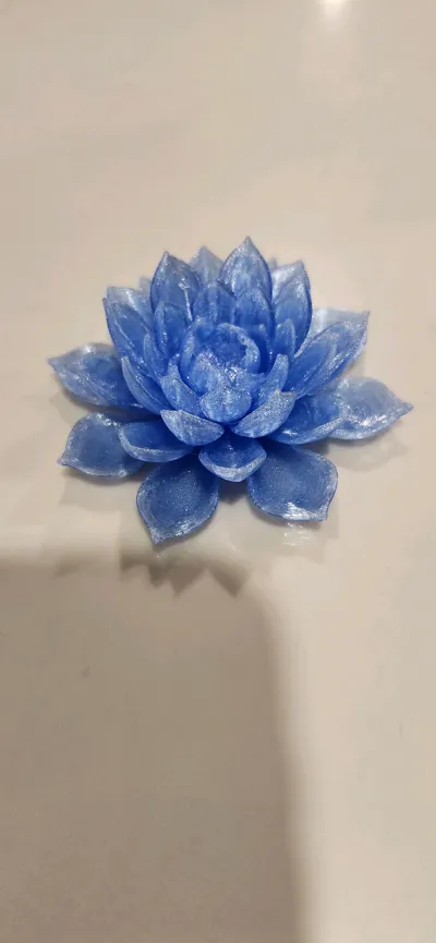 https://makerworld.bblmw.com/makerworld/model/1354004/1397225/ratings/753c62c0-6e0c-11f0-a27c-4f6b89dd55df.jpg