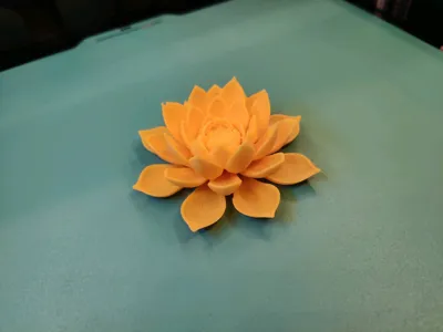 https://makerworld.bblmw.com/makerworld/model/1354004/1397225/ratings/773ac4f0-4345-11f0-ae07-5f58852650eb.jpg