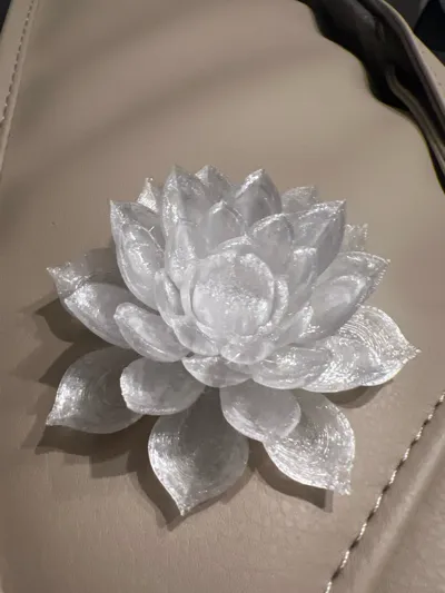 https://makerworld.bblmw.com/makerworld/model/1354004/1397225/ratings/a9bf0880-70a1-11f0-b464-033507c58b28.jpg