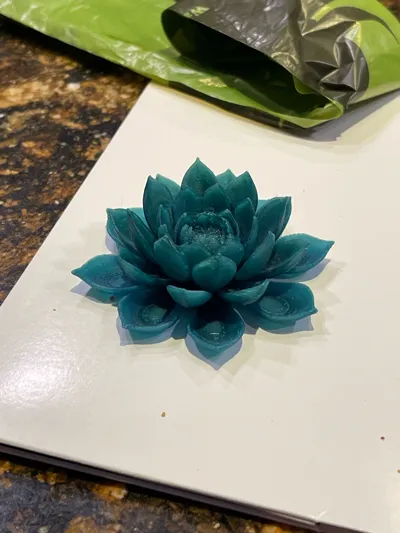 https://makerworld.bblmw.com/makerworld/model/1354004/1397225/ratings/ba1b8980-36b6-11f0-8f8f-9169a451f0d1.jpg