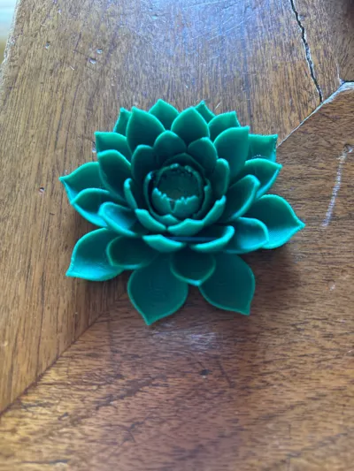 https://makerworld.bblmw.com/makerworld/model/1354004/1397225/ratings/db680a30-2e52-11f0-aaa6-57bca9533104.jpg