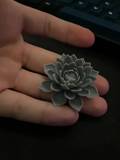 https://makerworld.bblmw.com/makerworld/model/1354004/1418851/ratings/c20339a0-e2b3-11f0-9cdc-55ec83408e17.jpg