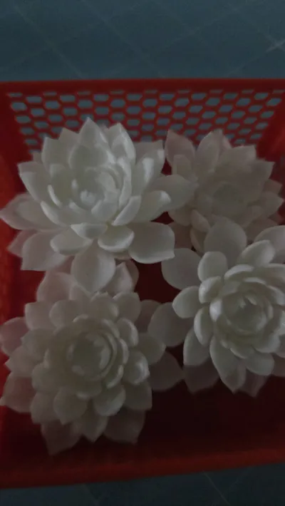 https://makerworld.bblmw.com/makerworld/model/1354004/1418851/ratings/c817a700-9834-11f0-894c-15e323755124.jpg