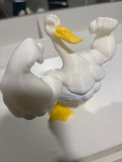 https://makerworld.bblmw.com/makerworld/model/1355049/1398502/ratings/45e592d0-b2ea-11f0-b2da-21af3c38f77a.jpg