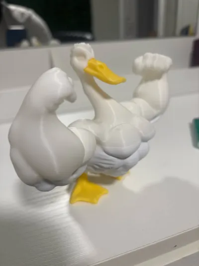 https://makerworld.bblmw.com/makerworld/model/1355049/1398508/ratings/5a2215c0-b2ea-11f0-b2da-21af3c38f77a.jpg