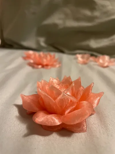 https://makerworld.bblmw.com/makerworld/model/1355213/1398707/ratings/20194030-ea7e-11f0-a0fa-cbe00532fa25.jpg