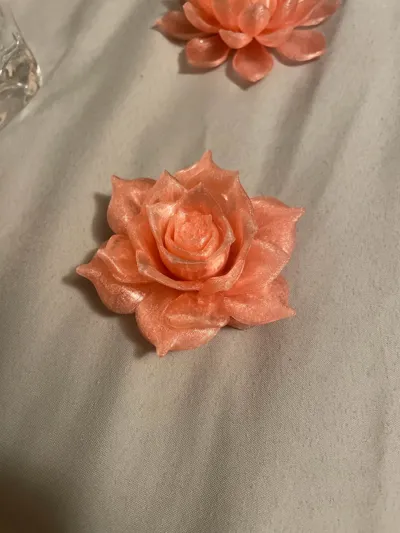 https://makerworld.bblmw.com/makerworld/model/1355213/1398707/ratings/2034b770-ea7e-11f0-a0fa-cbe00532fa25.jpg