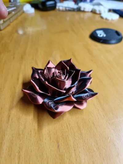 https://makerworld.bblmw.com/makerworld/model/1355213/1398707/ratings/da3df1c0-958f-11f0-9973-e50ae3b3248d.jpg