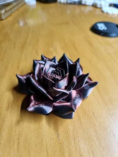 https://makerworld.bblmw.com/makerworld/model/1355213/1398707/ratings/da3e3fe0-958f-11f0-9973-e50ae3b3248d.jpg