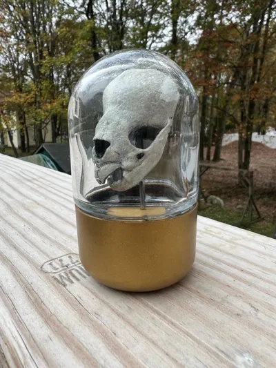 https://makerworld.bblmw.com/makerworld/model/1355807/1399422/ratings/fbb12ab0-a8be-11f0-a8f4-3f4600355840.jpg