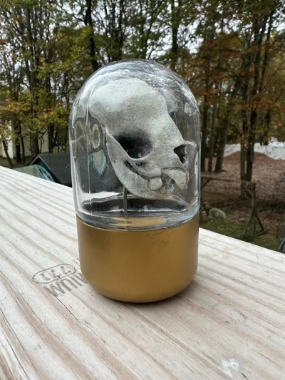 https://makerworld.bblmw.com/makerworld/model/1355807/1399422/ratings/fbb21510-a8be-11f0-a8f4-3f4600355840.jpg