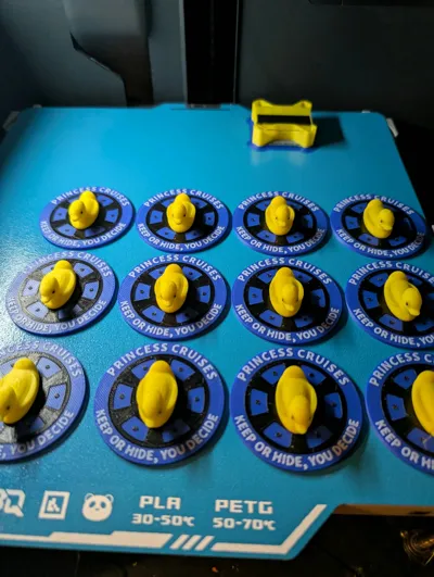 https://makerworld.bblmw.com/makerworld/model/1357143/1401013/ratings/1cd661f0-26c5-11f0-9174-ffcc9ebf3b18.jpg