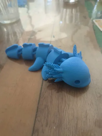 https://makerworld.bblmw.com/makerworld/model/1357273/1408443/ratings/13debfa0-e715-11f0-98ac-71de68aebbef.jpg