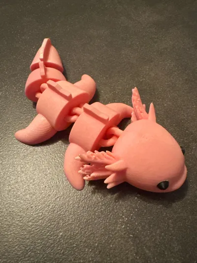 https://makerworld.bblmw.com/makerworld/model/1357273/1408443/ratings/a8d14bb0-eb38-11f0-a310-394dd2a4f6bd.jpg