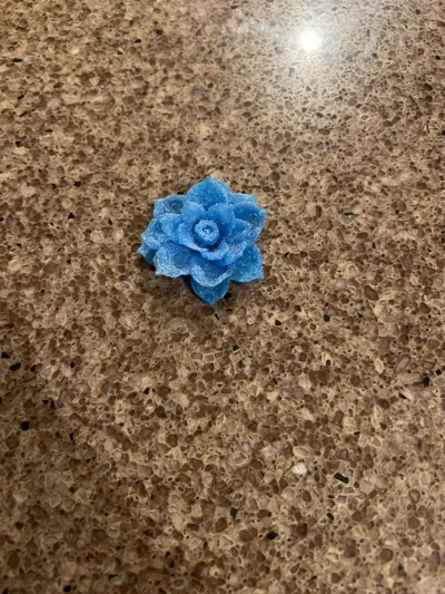 https://makerworld.bblmw.com/makerworld/model/1358161/1402244/ratings/64fb4a90-d01b-11f0-bd49-c9f13e6c4343.jpg