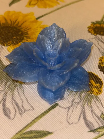 https://makerworld.bblmw.com/makerworld/model/1358161/1402244/ratings/ae516a10-30f4-11f0-a22f-718fa525482b.jpg