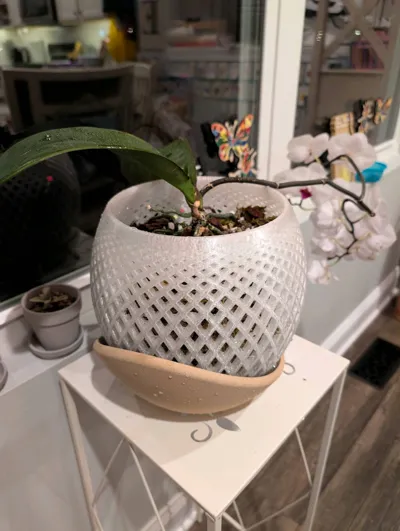 https://makerworld.bblmw.com/makerworld/model/1358566/1402744/ratings/d1fb09c0-8b9a-11f0-af55-9d48e672acdf.jpg