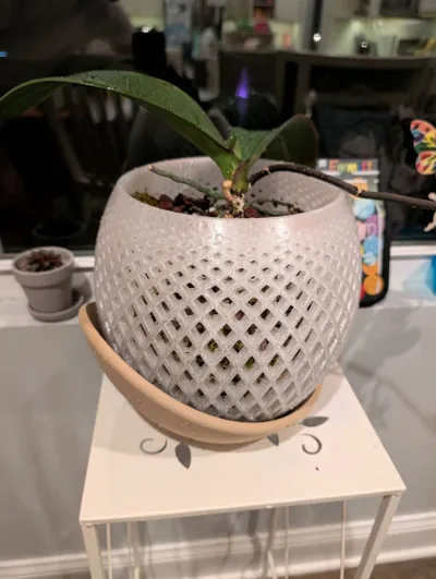 https://makerworld.bblmw.com/makerworld/model/1358566/1402744/ratings/d20060f0-8b9a-11f0-af55-9d48e672acdf.jpg