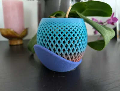 https://makerworld.bblmw.com/makerworld/model/1358566/1402750/ratings/52671d70-49f5-11f0-86c6-4daa5ac40c61.jpg