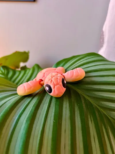 https://makerworld.bblmw.com/makerworld/model/1359160/1403474/ratings/818b9a40-fc92-11f0-a8c7-f3ca002297c4.jpg