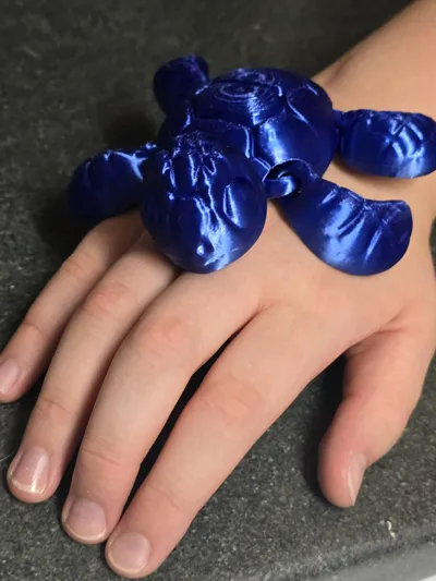 https://makerworld.bblmw.com/makerworld/model/1359160/1403474/ratings/a7ce6dc0-7620-11f0-b029-3d6b62254fd0.jpg