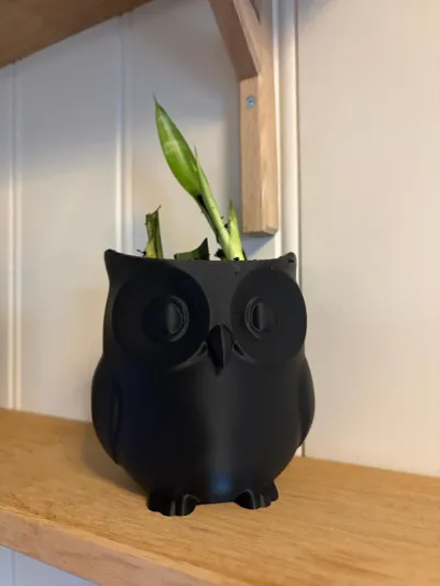 https://makerworld.bblmw.com/makerworld/model/1359482/1403846/ratings/241eb780-f471-11f0-aae2-3399d43210c4.jpg