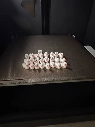https://makerworld.bblmw.com/makerworld/model/1359749/1404198/ratings/ce8b6bd0-e0c8-11f0-8a0f-7be5f30f69dc.jpg