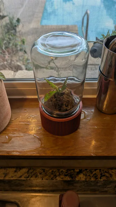 Mini Mason Jar Green House by Westbound MakerWorld: Download Free 3D Models