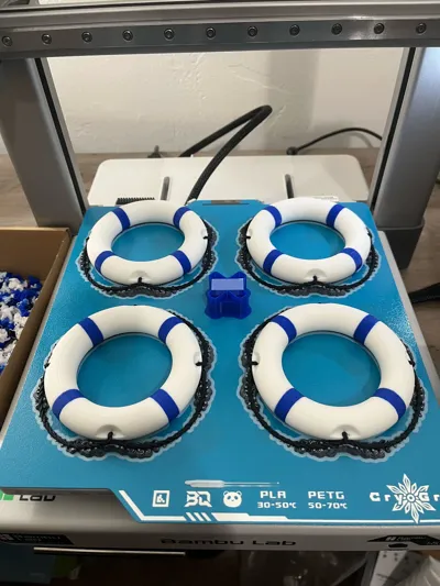 https://makerworld.bblmw.com/makerworld/model/1360058/1404536/ratings/e96df560-eb1a-11f0-b9e7-ef5c5b0eb7c3.jpg