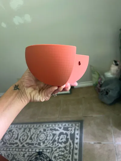 https://makerworld.bblmw.com/makerworld/model/1361003/1405679/ratings/3afc4e10-2f53-11f0-84e7-4da23d3755fe.jpg