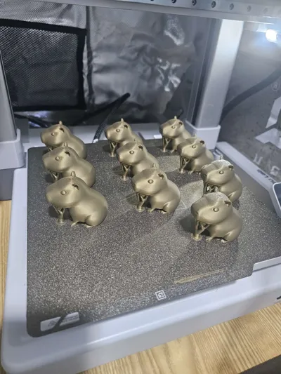 https://makerworld.bblmw.com/makerworld/model/1361453/1406249/ratings/e9e79620-7dd5-11f0-85fa-bf2d9260305b.jpg