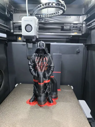 https://makerworld.bblmw.com/makerworld/model/1361938/1406843/ratings/7a255050-2e81-11f0-b625-7fb1c59203ae.jpg
