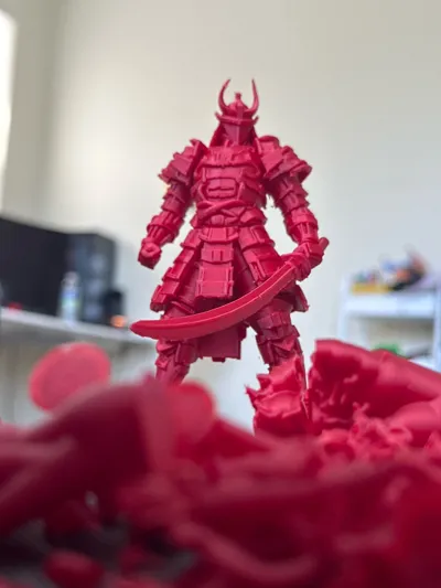https://makerworld.bblmw.com/makerworld/model/1362281/1407269/ratings/ad714880-795c-11f0-9306-3db1bc74af97.jpg