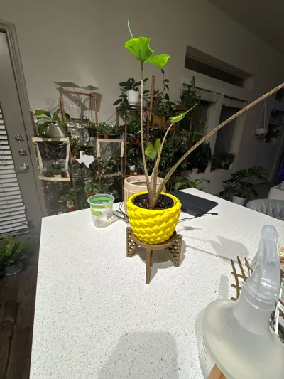 https://makerworld.bblmw.com/makerworld/model/1363173/1408329/ratings/b2d909a0-7b25-11f0-a265-0117c213cc70.jpg