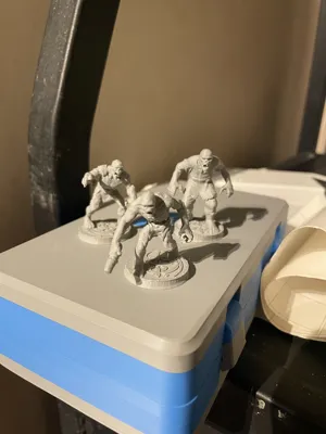 https://makerworld.bblmw.com/makerworld/model/1366257/1411950/ratings/2025-06-03_85769f7f57b458.jpeg
