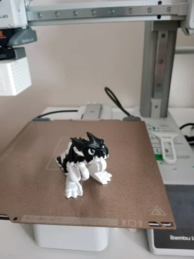 https://makerworld.bblmw.com/makerworld/model/1366309/1412012/ratings/aad7b6a0-663c-11f0-b091-b91c44c40594.jpg