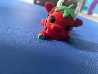 https://makerworld.bblmw.com/makerworld/model/1366411/1412146/ratings/05525a30-6f08-11f0-bdca-97f06df5a578.jpg