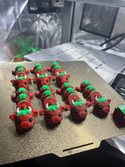 https://makerworld.bblmw.com/makerworld/model/1366411/1412146/ratings/af5f3b20-d96a-11f0-8a75-f5cadabbfac9.jpg