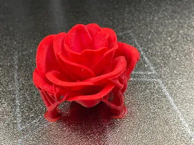 https://makerworld.bblmw.com/makerworld/model/1366455/1412200/ratings/6931d5e0-389d-11f0-9c98-6b7bccfe5da9.jpg