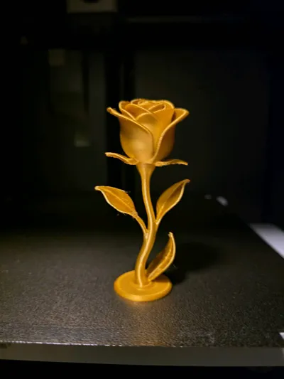 https://makerworld.bblmw.com/makerworld/model/1366591/1412367/ratings/0f751ac0-8a8d-11f0-9e5e-693ef9c3ca1c.jpg